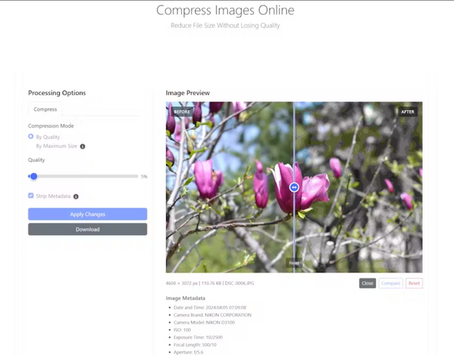 Screenshot 2024-09-23 082258.png